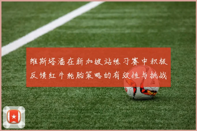 维斯塔潘在新加坡站练习赛中积极反馈红牛轮胎策略的有效性与挑战